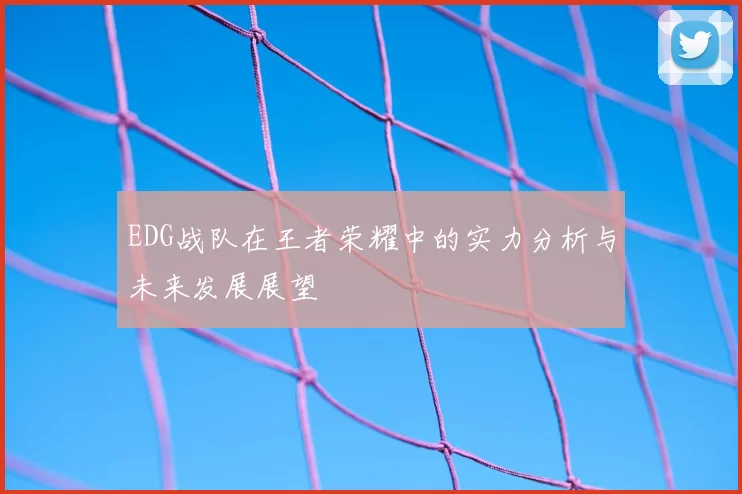 EDG战队在王者荣耀中的实力分析与未来发展展望