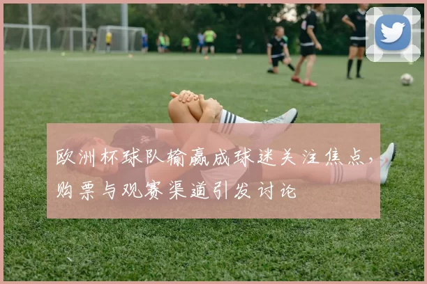 欧洲杯球队输赢成球迷关注焦点,购票与观赛渠道引发讨论