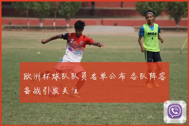 欧洲杯球队队员名单公布 各队阵容备战引发关注
