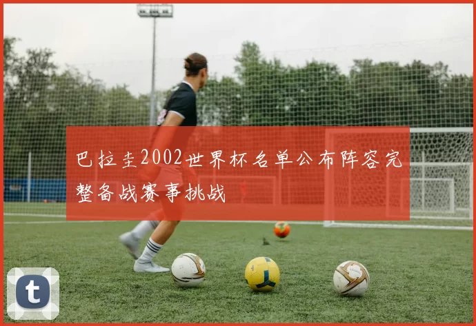 巴拉圭2002世界杯名单公布阵容完整备战赛事挑战