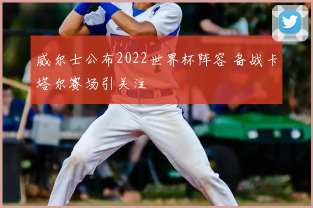 威尔士公布2022世界杯阵容 备战卡塔尔赛场引关注