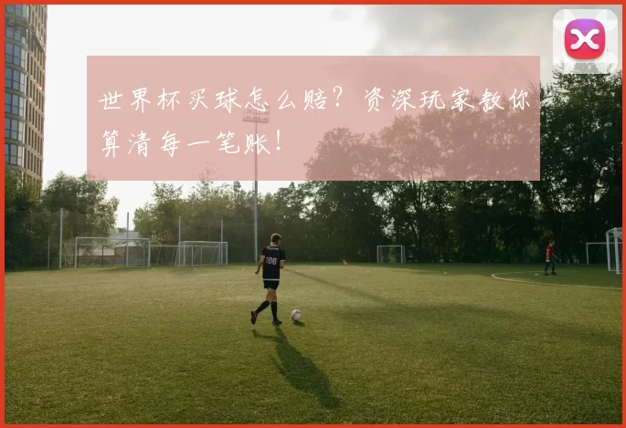 世界杯买球怎么赔?资深玩家教你算清每一笔账!