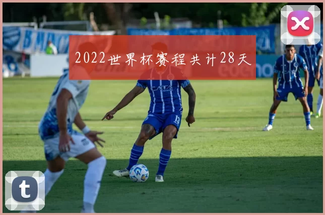 2022世界杯赛程共计28天