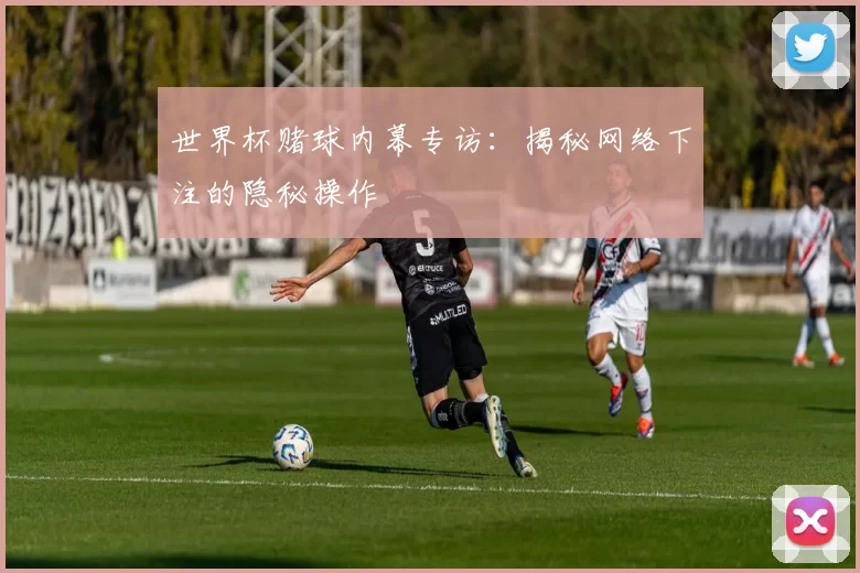 世界杯赌球内幕专访:揭秘网络下注的隐秘操作