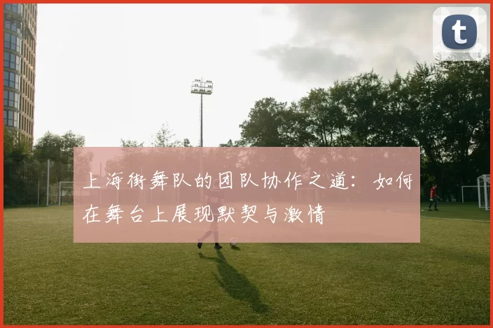 上海街舞队的团队协作之道:如何在舞台上展现默契与激情