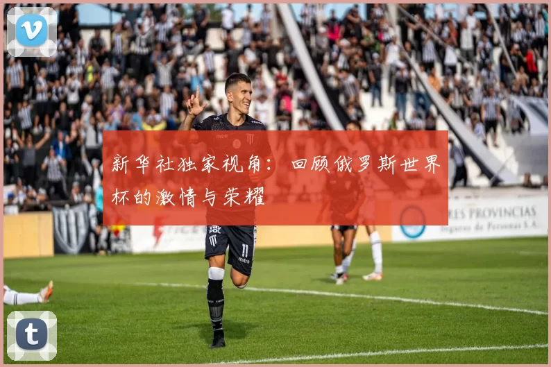 新华社独家视角:回顾俄罗斯世界杯的激情与荣耀