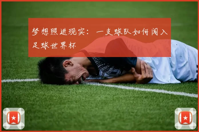 梦想照进现实:一支球队如何闯入足球世界杯