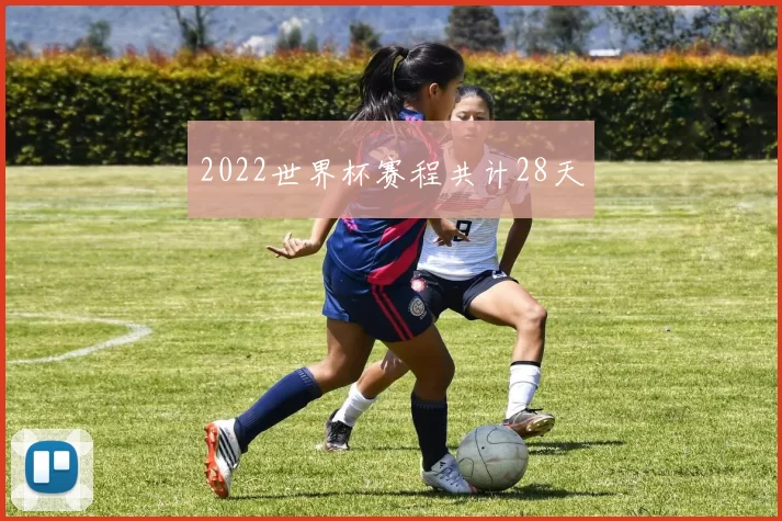 2022世界杯赛程共计28天