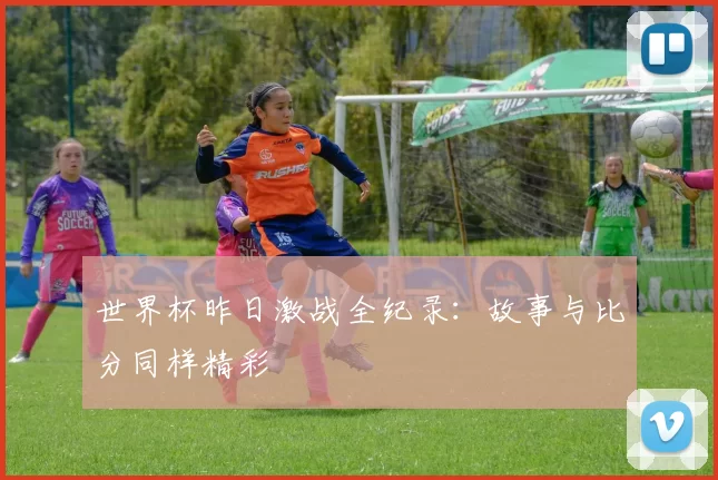 世界杯昨日激战全纪录：故事与比分同样精彩