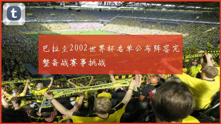 巴拉圭2002世界杯名单公布阵容完整备战赛事挑战