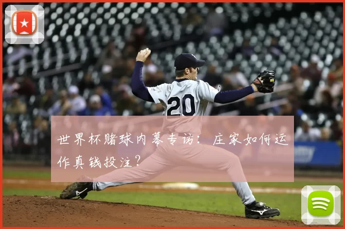 世界杯赌球内幕专访:庄家如何运作真钱投注?